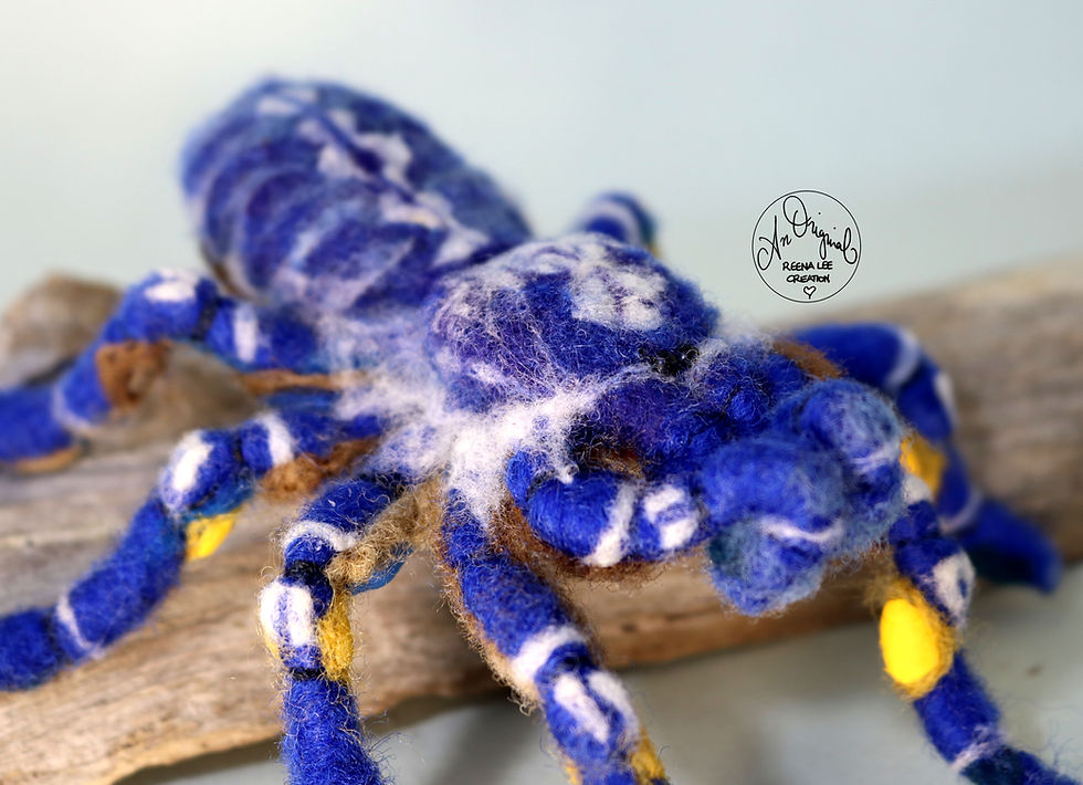 Thumbnail: Gooty Tarantula
