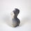Thumbnail: Female Torso