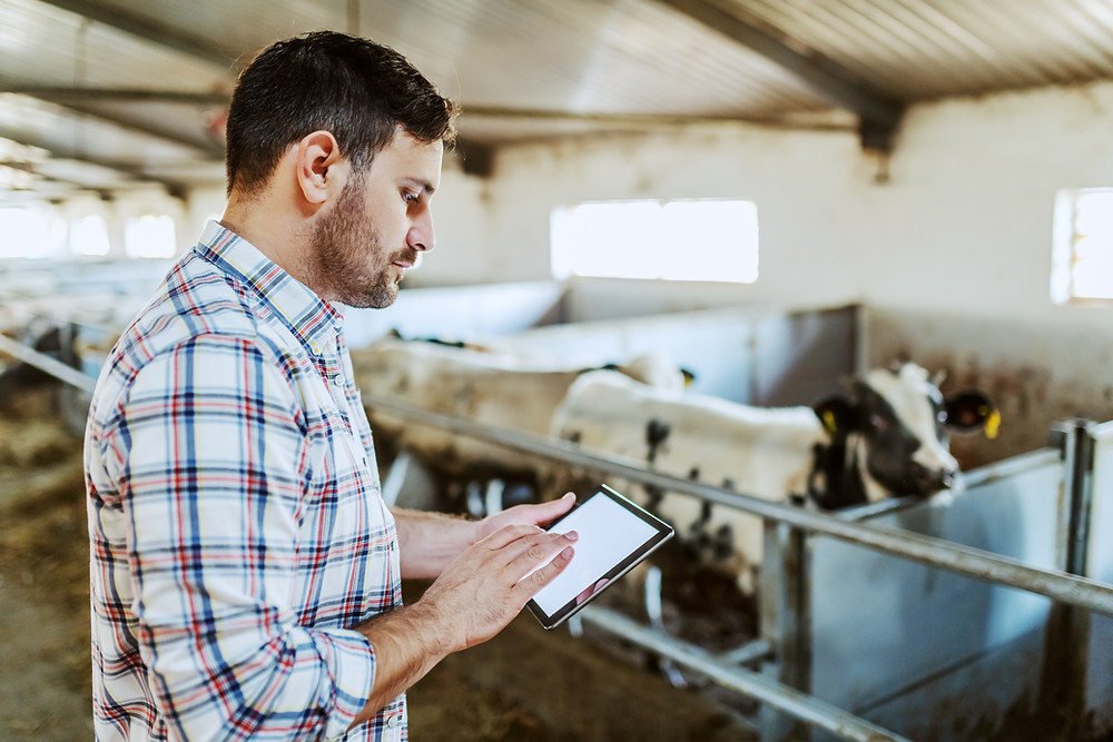 DOES FARM BUSINESS ACCOUNTING MATTER?