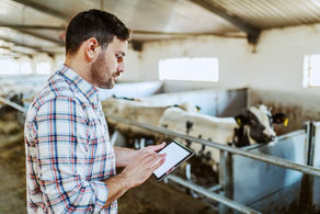 DOES FARM BUSINESS ACCOUNTING MATTER?