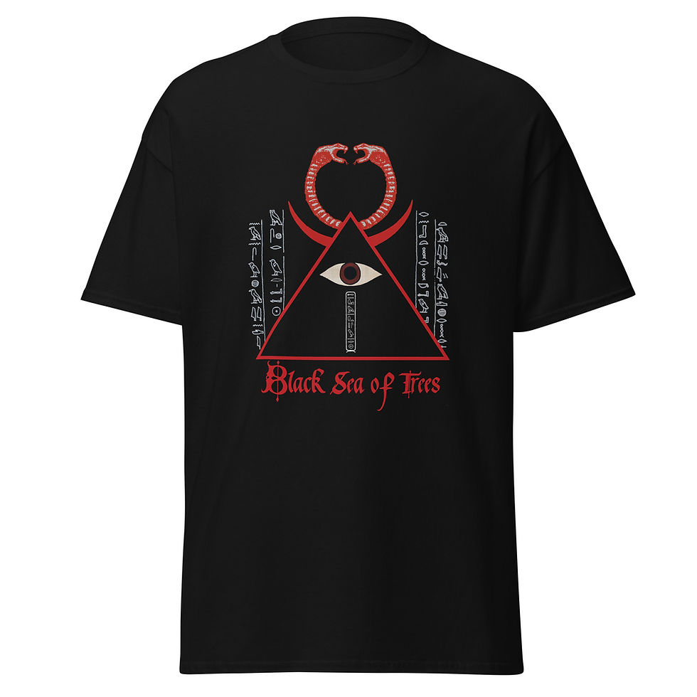 unisex-classic-tee-black-front-6a07cd771182b