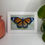 Thumbnail: Monarch Print