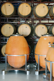 Η Limniona 2024 της Oenops Wines απέσπασε Χρυσό Μετάλλιο και 96 βαθμούς στα Decanter World Wine Awar