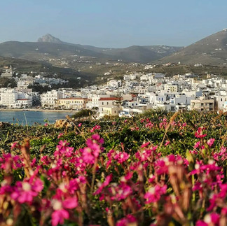 Η Τήνος αποκαλύπτει τις ομορφότερες παραλίες, τα παραδοσιακά χωριά, τα αξιοθέατα και τις αυθεντικές γεύσεις της, με ξεχωριστή στάση στο οινοποιείο T OINO και τα μοναδικά κρασιά του.