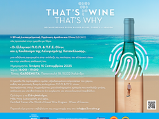 Ελληνικός Οίνος: Ποιότητα και Υπεύθυνη Απόλαυση στο προσκήνιο σε Εκδήλωση της ΕΔΟΑΟ