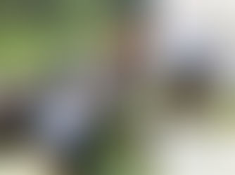 Το Μικρό–Οινοποιείο Ακριώτου ανοίγει τις πόρτες του στο κοινό για πρώτη φορά!