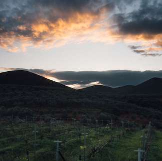 Η Μονεμβασιά το τριήμερο της Πρωτομαγιάς συνθέτει μια εμπειρία ιστορίας, τοπίου και γαστρονομίας, που ολοκληρώνεται με γευσιγνωσία στο Monemvasia Winery Tsimbidi.