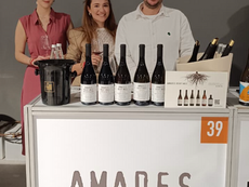 Amades Rootings