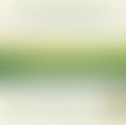 Από την Περιφέρεια στην Πρόοδο: Η τοπική παραγωγή στο επίκεντρο της βιώσιμης ανάπτυξης