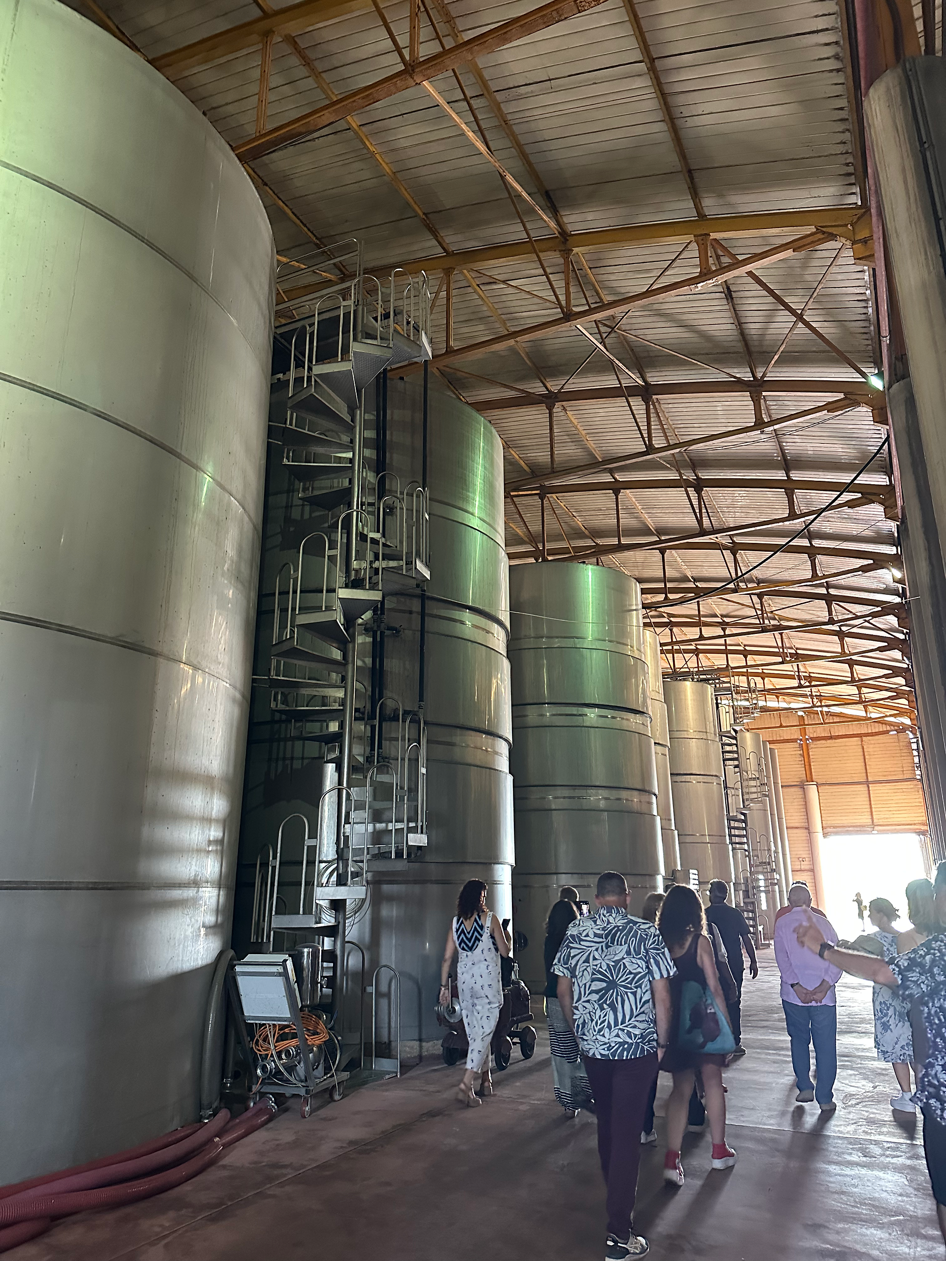 Το “The Wine Lovers” στο Messinia Terroirs Fam Trip 2026