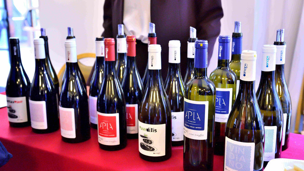 Greek Wine Day στη Φλωρεντία με 32 οινοποιεία από Ελλάδα και Κύπρο