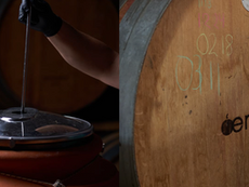 Χρυσό Μετάλλιο και 96 βαθμοί για τη Limniona 2024 της Oenops Wines στα Decanter World Wine Awards 2026