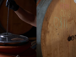 Χρυσό Μετάλλιο και 96 βαθμοί για τη Limniona 2024 της Oenops Wines στα Decanter World Wine Awards 2026