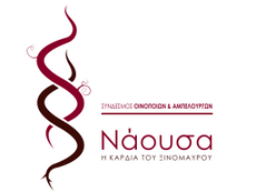 Στην τελική ευθεία για την "ΝΑΟΥΣΑ Πόλη του Οίνου" 2024