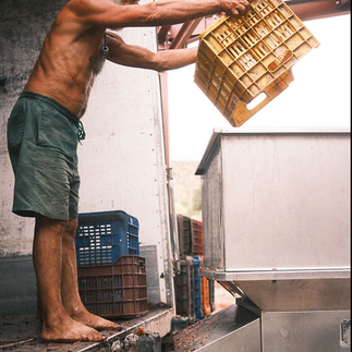 Η Μονεμβασιά το τριήμερο της Πρωτομαγιάς συνθέτει μια εμπειρία ιστορίας, τοπίου και γαστρονομίας, που ολοκληρώνεται με γευσιγνωσία στο Monemvasia Winery Tsimbidi.