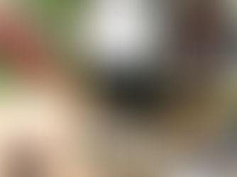 Οινοξένεια 2025: Μια Γέφυρα Γεύσεων και Πολιτισμών ανάμεσα στην Αιγιάλεια και τη Μεσσηνία