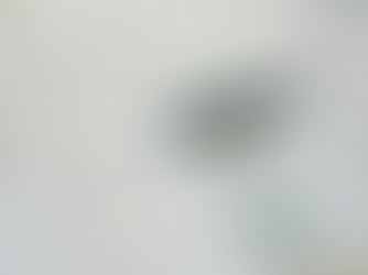 Great Greek Wines: Στρατηγική εξωστρέφειας σε ώριμες και αναδυόμενες αγορές της Ευρώπης