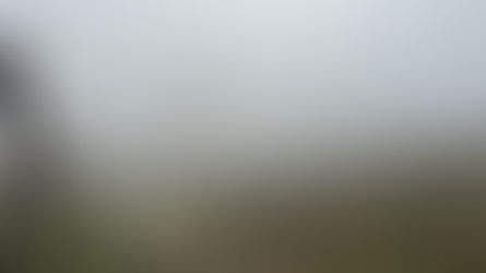 Απόδραση στο Mosel: Riesling, Απότομοι Αμπελώνες & Γραφικά Χωριά