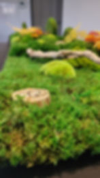 Décoration végétale Bretagne