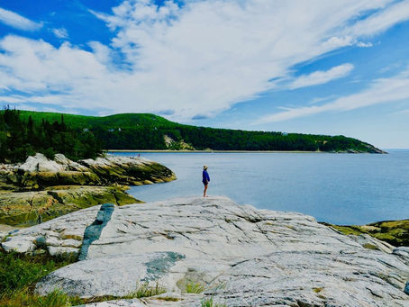 Visite de la région de Tadoussac et le Parc National du Bic