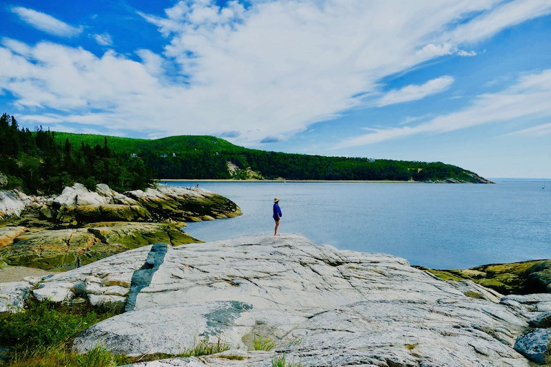 observation des baleines depuis la côte à Tadoussac