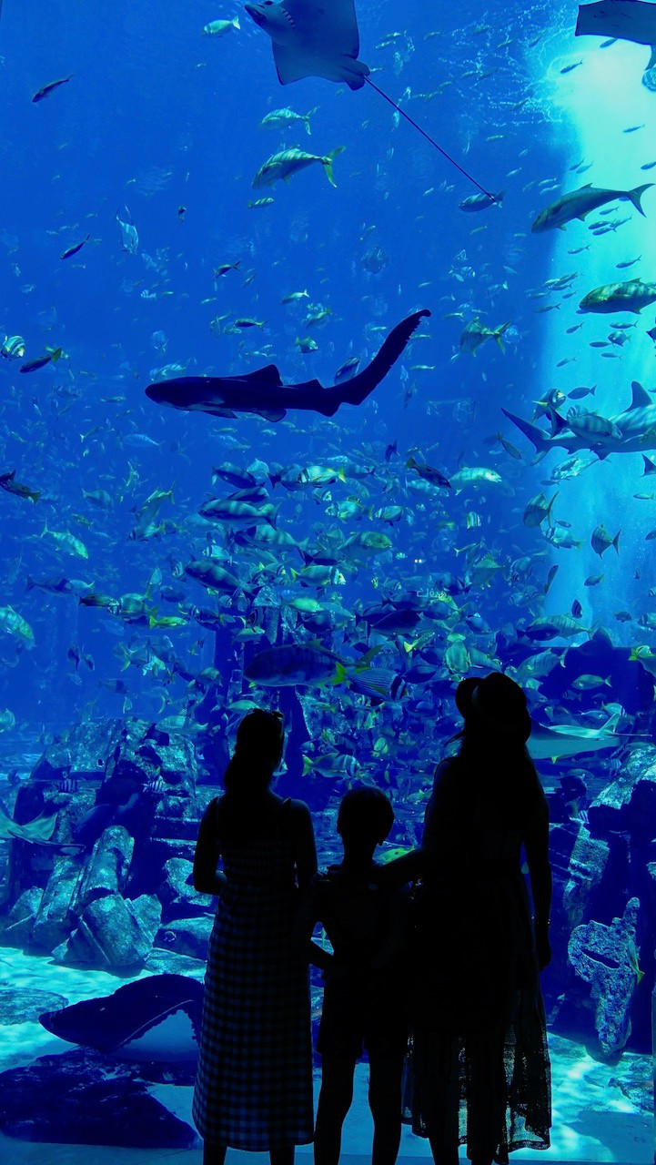 Aquarium Atlantis Dubaï