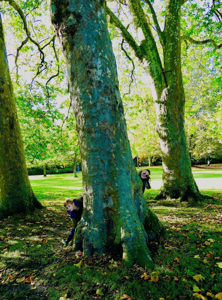 SAINT STEPHENS GREEN PARK A DUBLIN