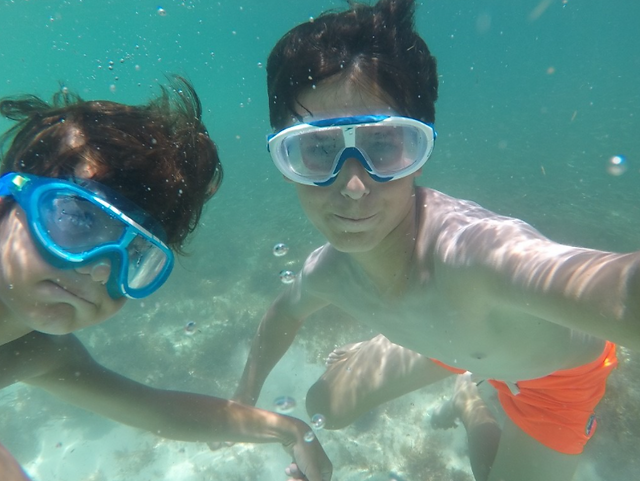 Snorkeling à Key West