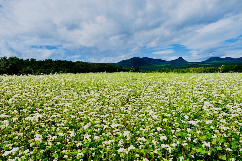 Paysages de Charlevoix