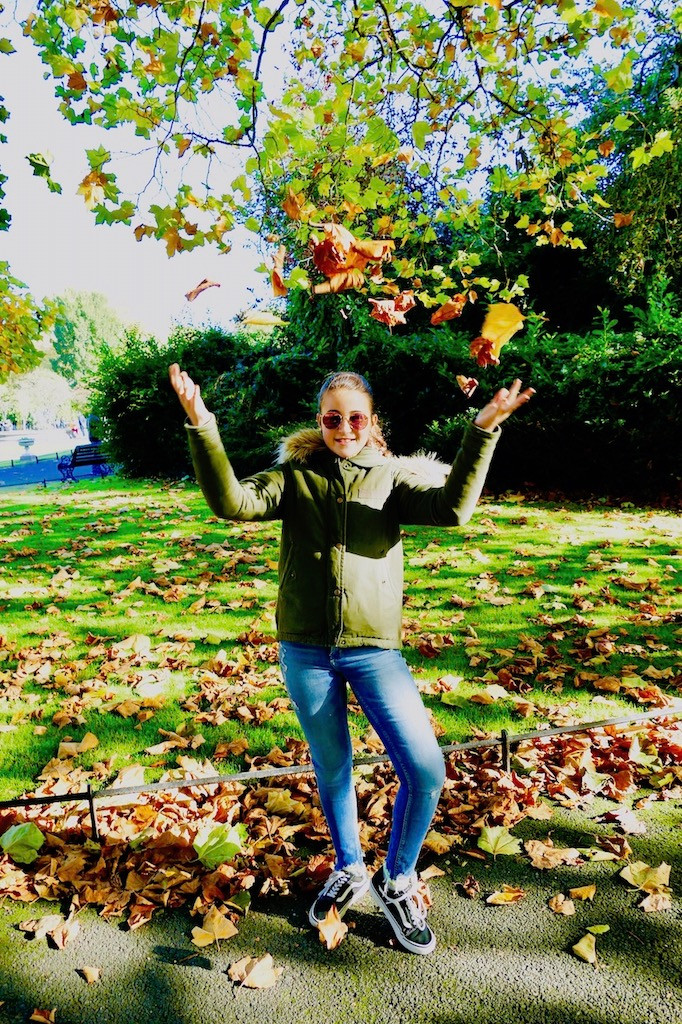 SAINT STEPHENS GREEN PARK A DUBLIN