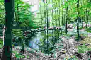 SPA La Source - Bains nordique à Rawdon