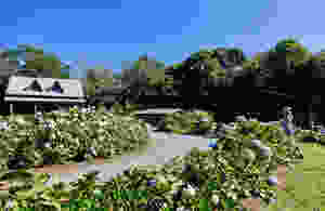 Chayote Lodge au Costa Rica