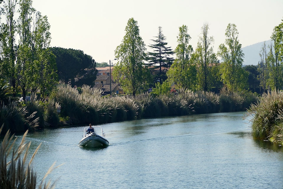 Les bords de la Siagne