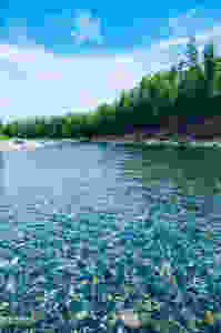 La rivière Bonaventure