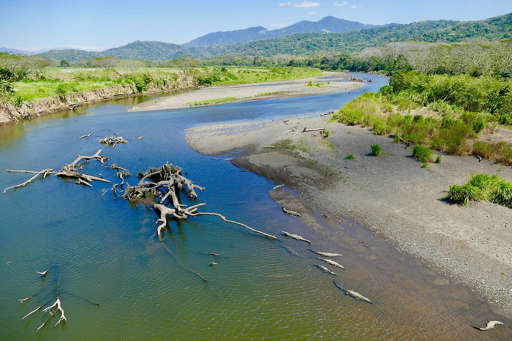 Rio Tarcoles au Costa Rica