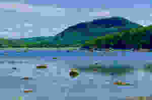 Le parc national du Bic au Canada