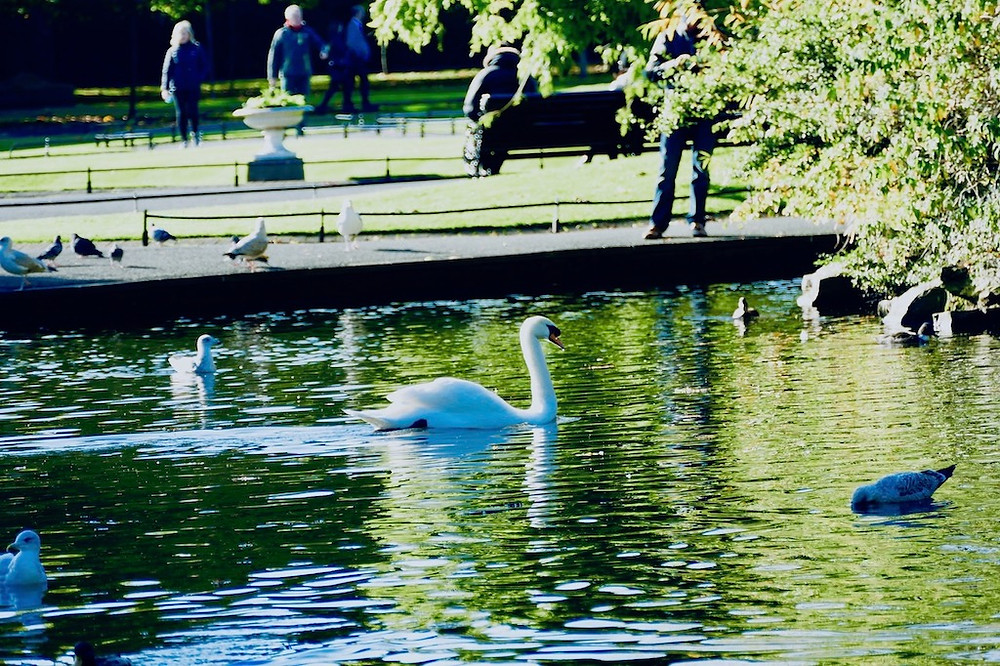 SAINT STEPHENS GREEN PARK A DUBLIN