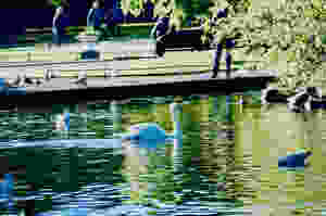 SAINT STEPHENS GREEN PARK A DUBLIN