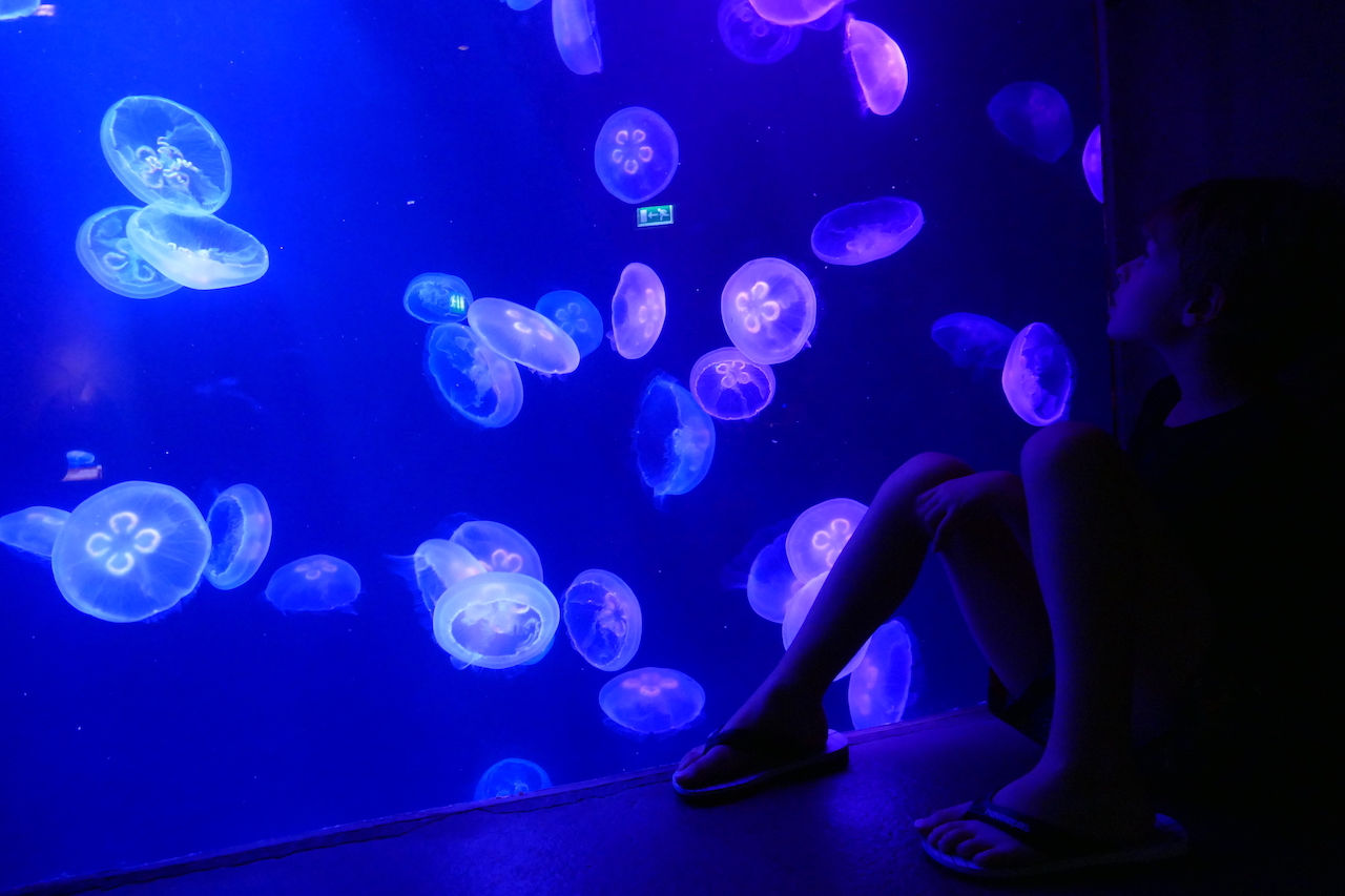 Aquarium Atlantis Dubaï