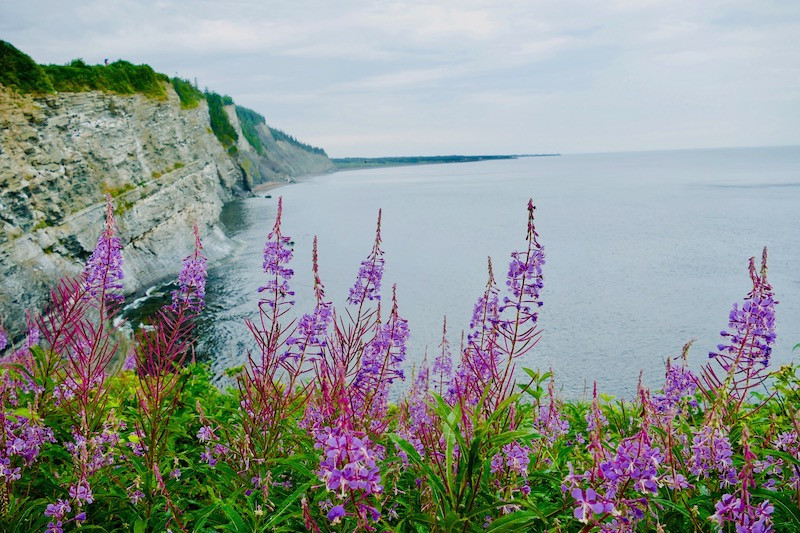 Parc Forillon en Gaspésie