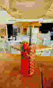 Café Mazmi