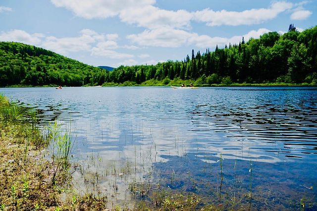 La lac Chat