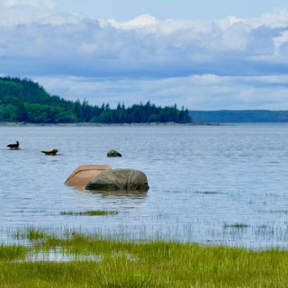 Le parc national du Bic