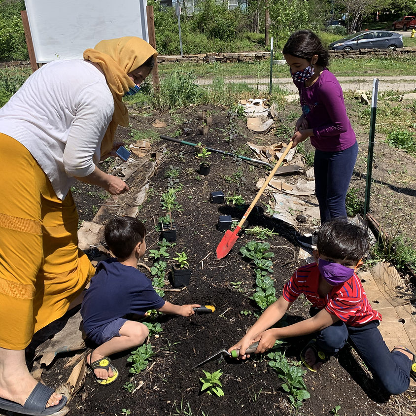 Garden Workday and Hydroponics