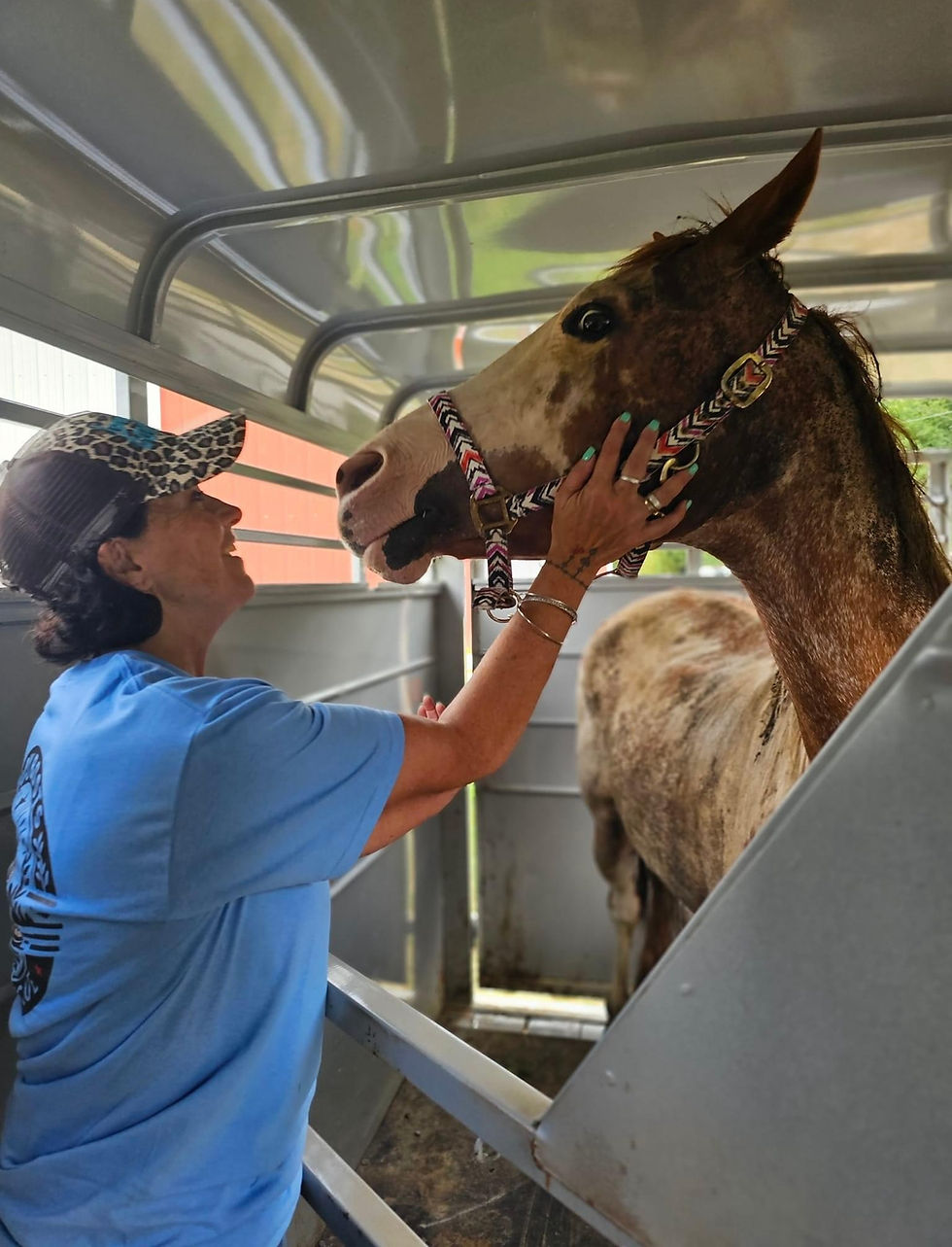 Heidi and her team were part of a large rescue effort to remove 7 horses from a horrid situation. This is Heidi with the mare she named for the Greek Goddess of Mercy, Elios. She is called Ellie now!