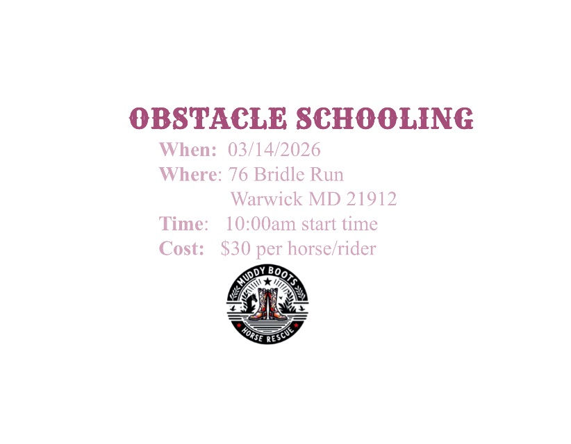 Obstacle Schooling