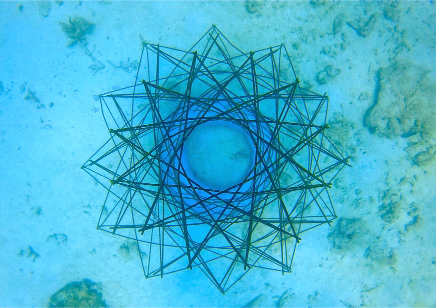 Non-priority Of Ecological Factors