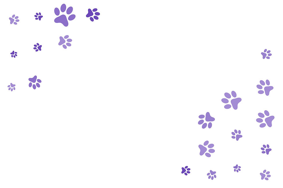 Coco Spa Patterns.jpg