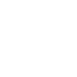 Backdrop Icon.png