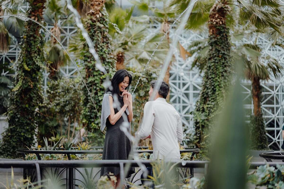CrystalGardens.jpg